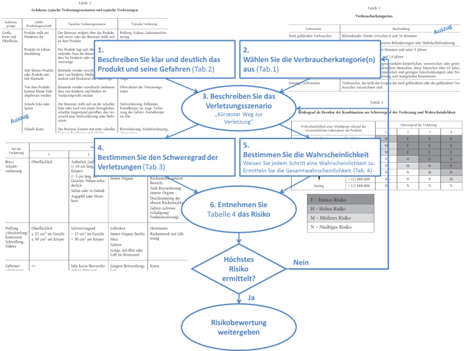Schematischer Ablauf der Risikobewertung  Schematischer Ablauf der Risikobewertung